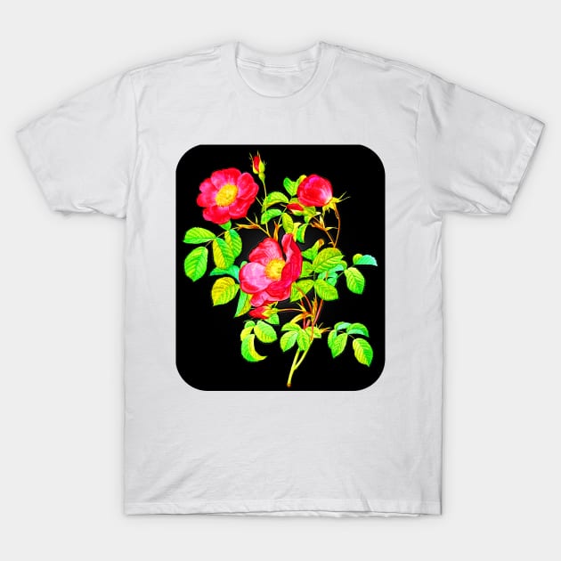 Black Panther Art - Rose Art 13 T-Shirt by The Black Panther